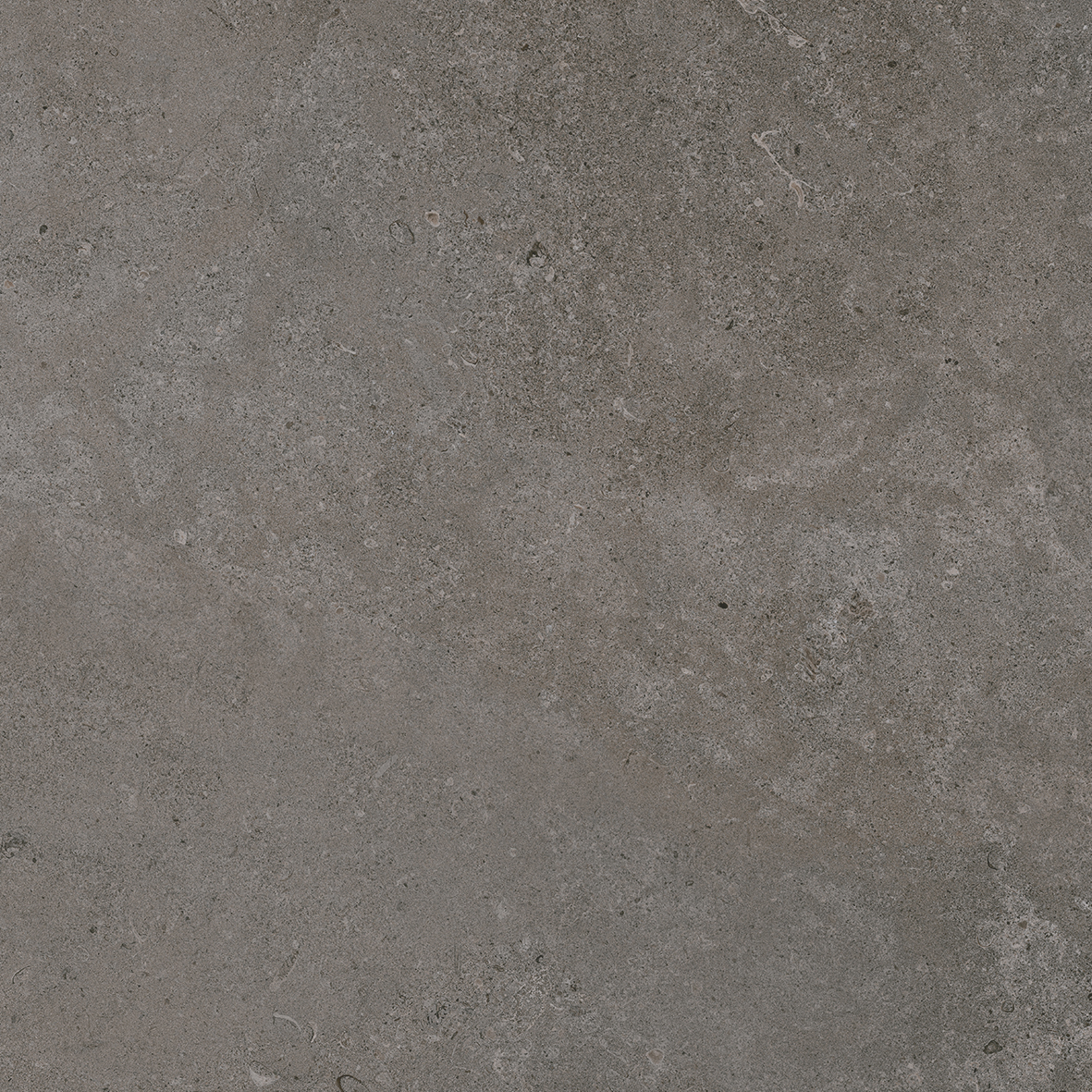 Porcelanosa Mosa-River Grey Tile 100 x 100 cm