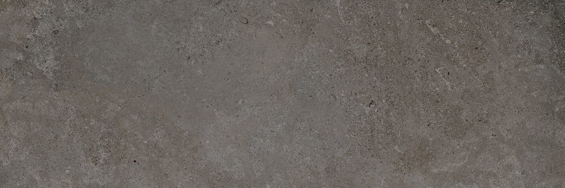 Porcelanosa Berna Grey 59.6 x 180 cm